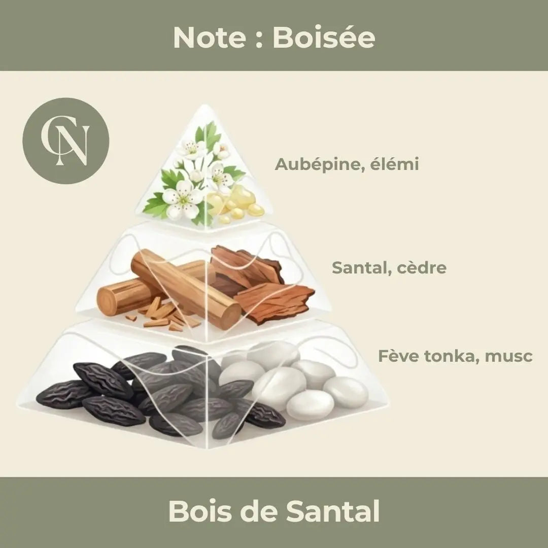 Bougie Protection, bois de santal et tourmaline noire, Cap-Nature
