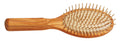 Brosse en Bois d'Olivier, Kost Kamm